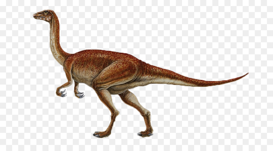 Buitreraptor. 