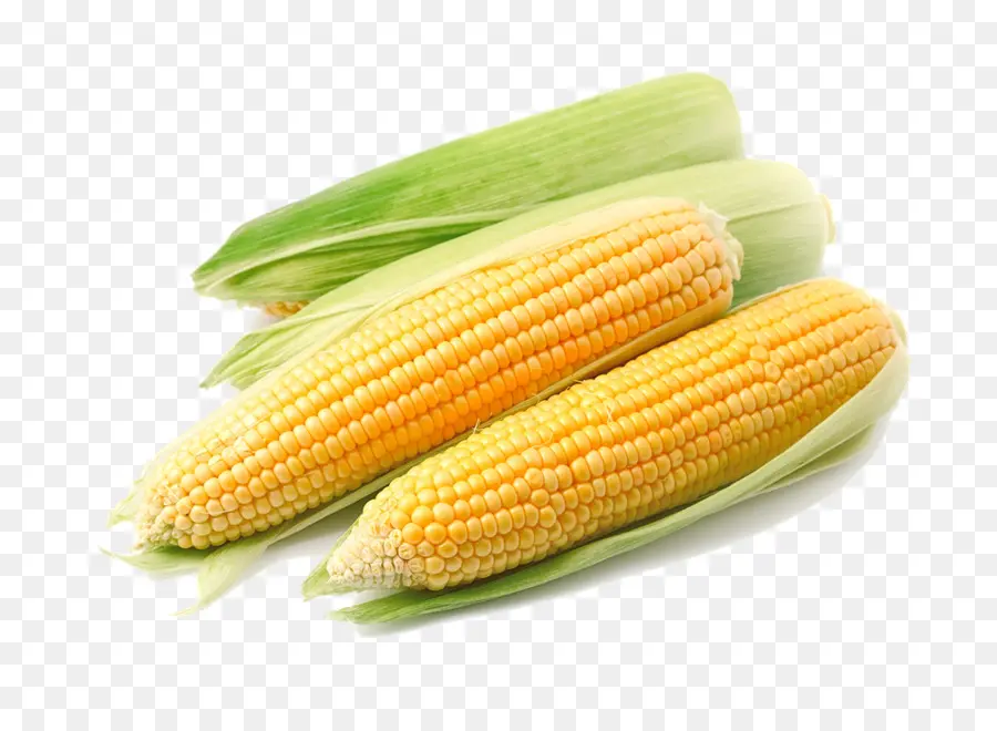 кукурузы，сладкая кукуруза PNG