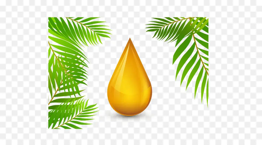пальмовое масло，масло PNG