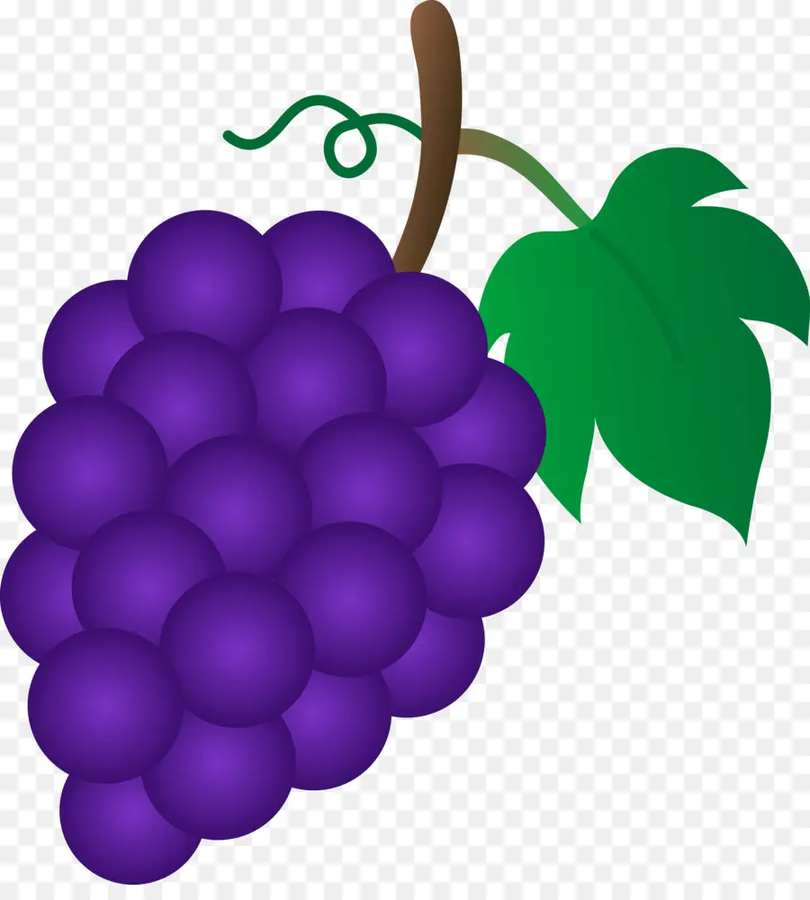 общие винограда，султанша PNG