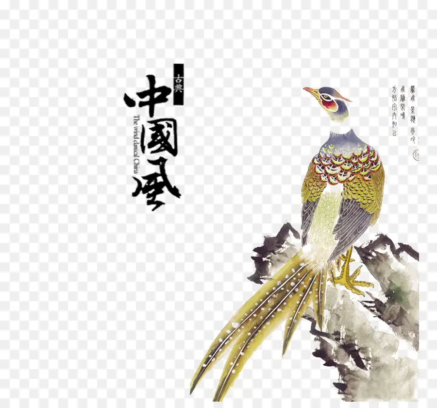 Китай，птица PNG