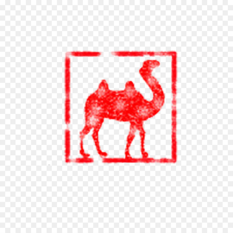 верблюд，млекопитающее PNG