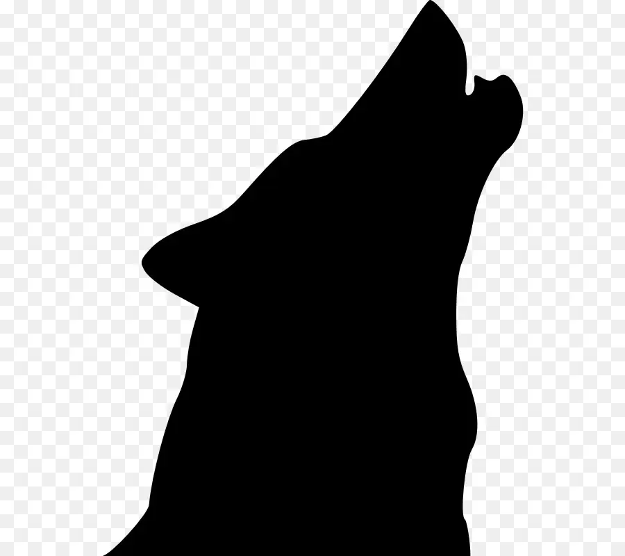 Койот，серый волк PNG