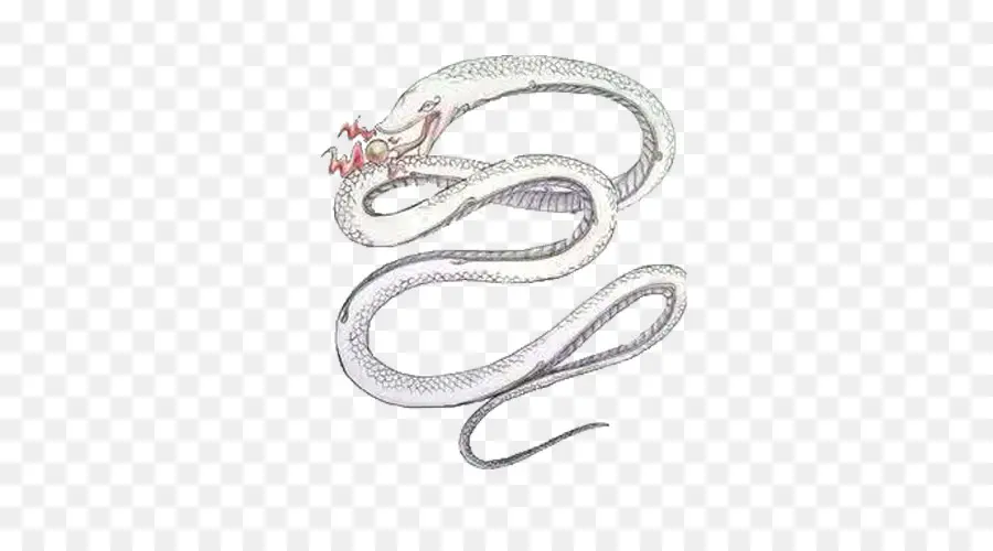 легенда о белой змее，змея PNG