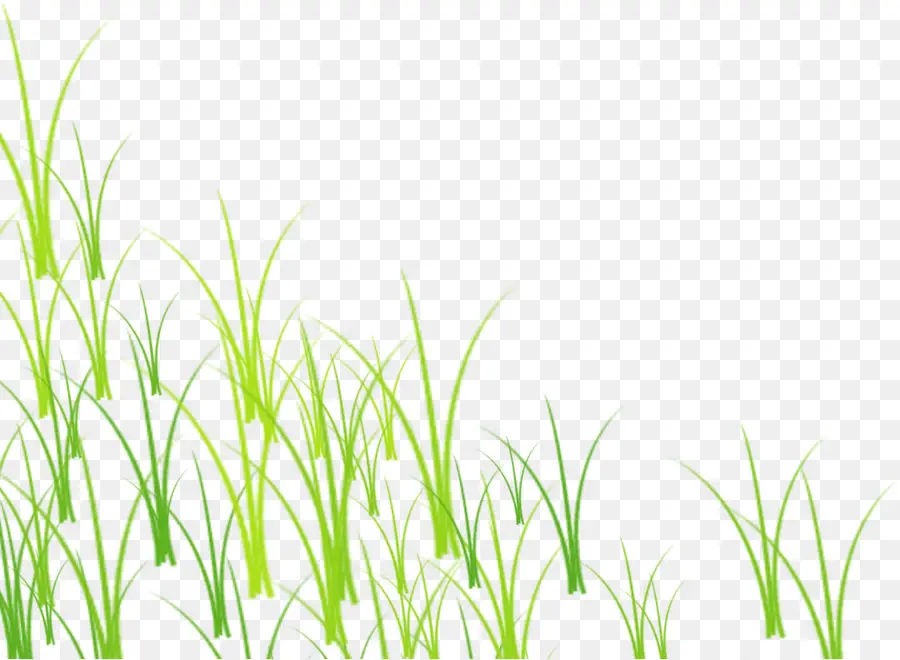 трава，зеленый PNG