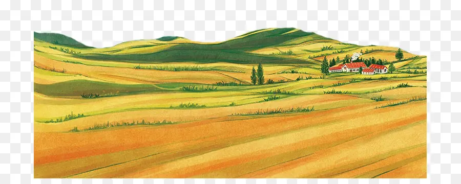 поле пшеницы，сельской местности PNG