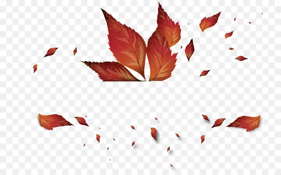осень，осенняя окраска листьев PNG