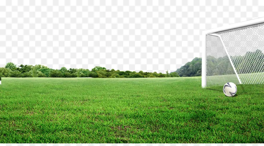 футбольное поле，газон PNG