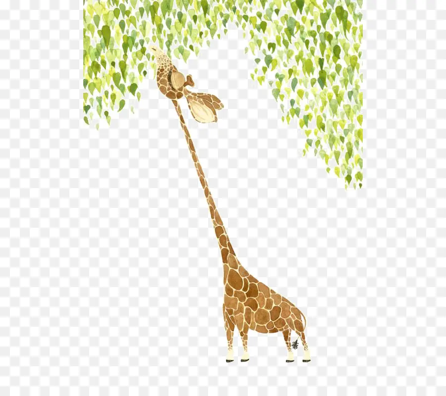 жираф，акварельная живопись PNG