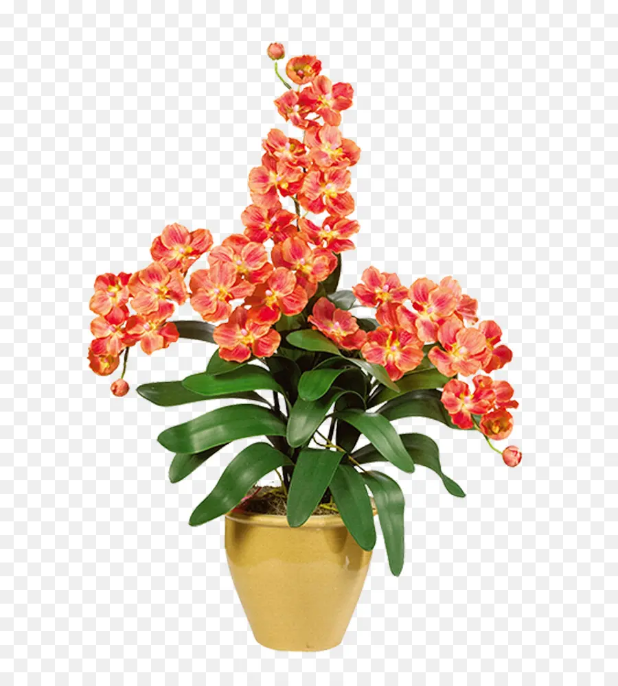 горшок，цветок PNG