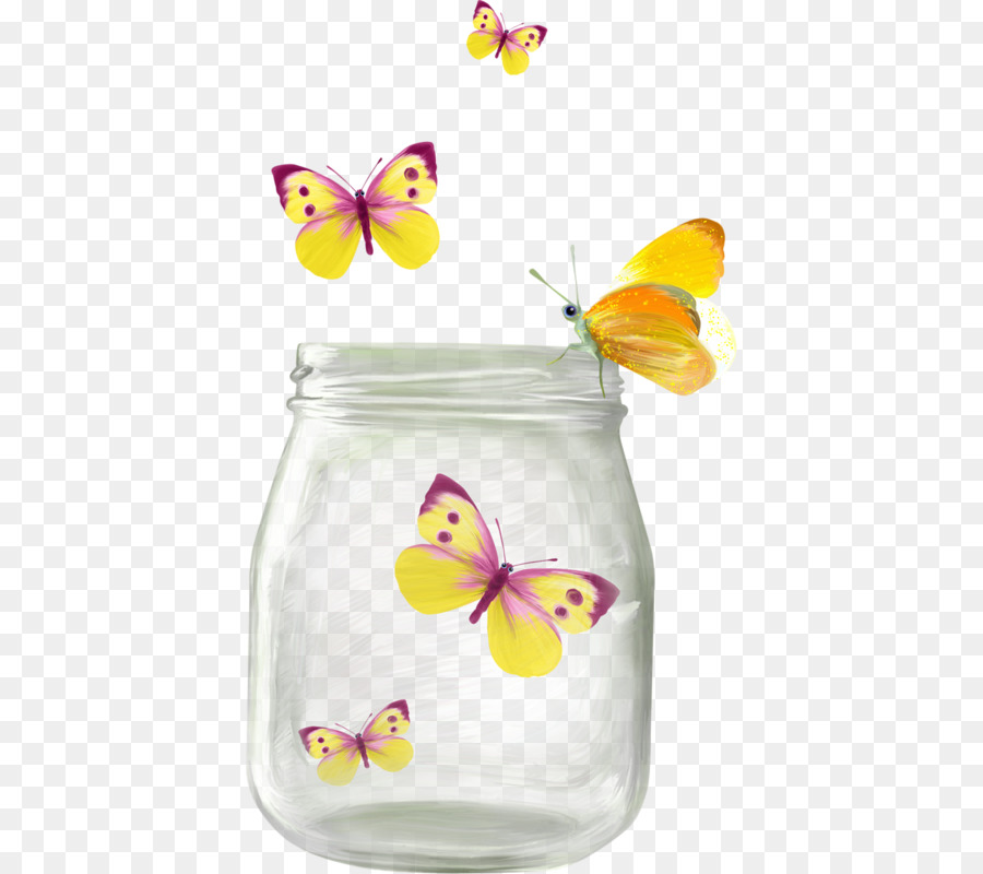 Бабочки в банке рисунок