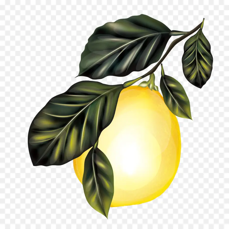 лимон，филиал PNG
