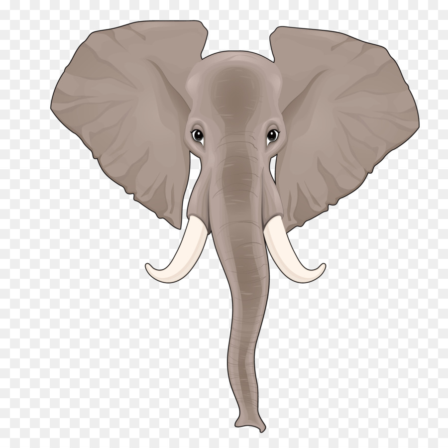 Хобот слона на прозрачном фоне