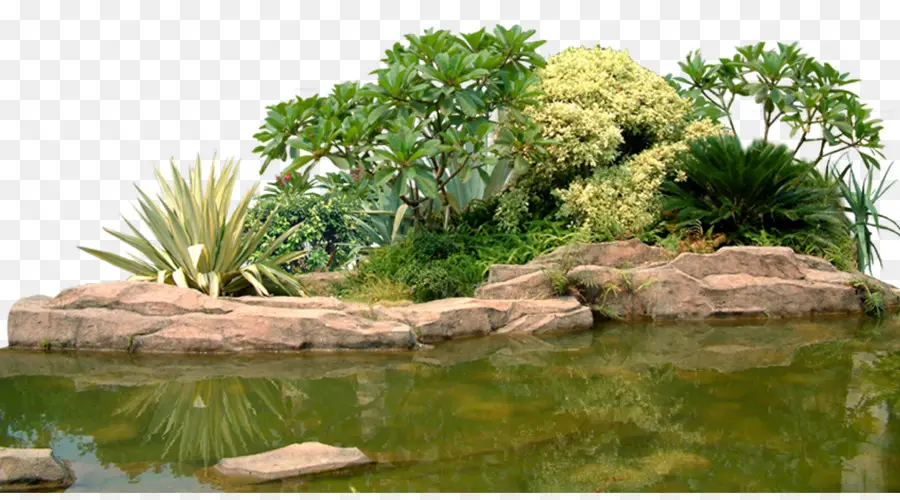 пейзаж，сад PNG
