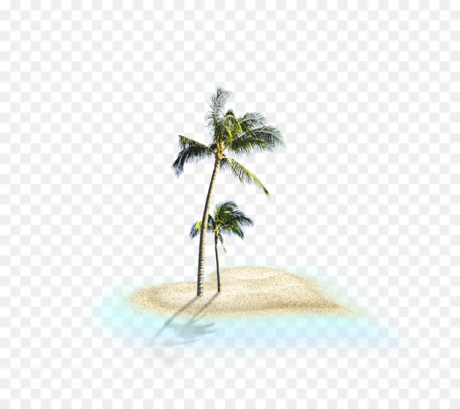 пляж，дерево PNG