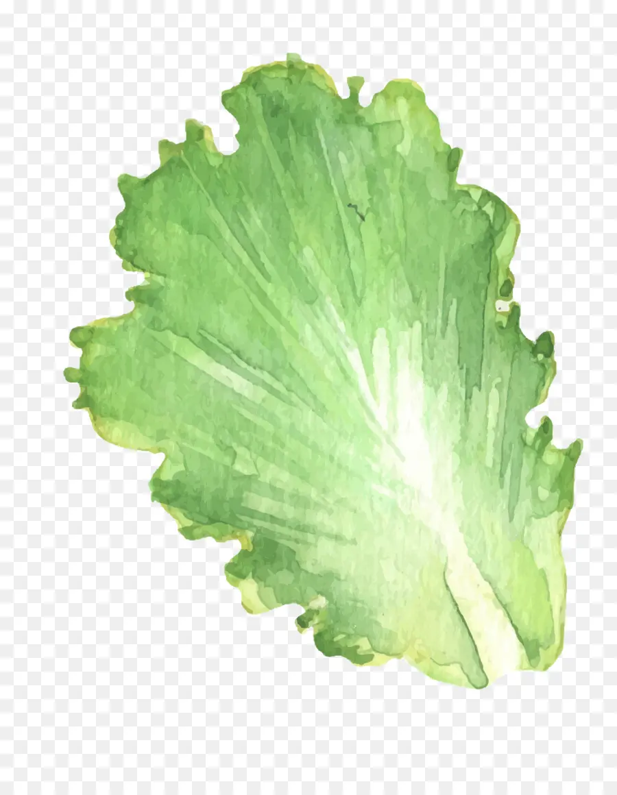 лист，овощ PNG