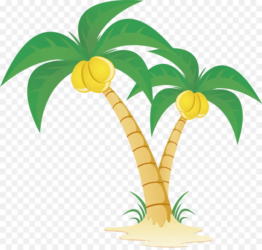 Arecaceae，дерево PNG