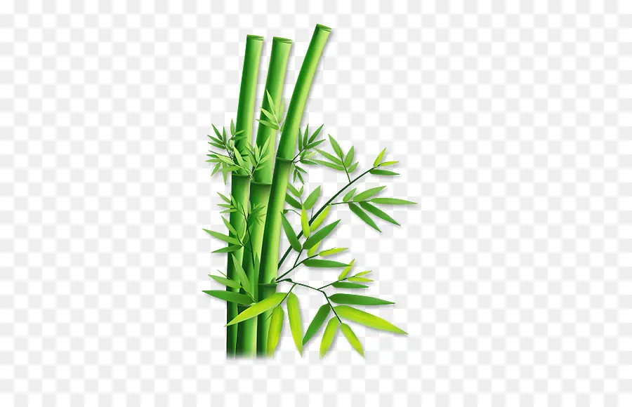 пеньки，Bamboo PNG