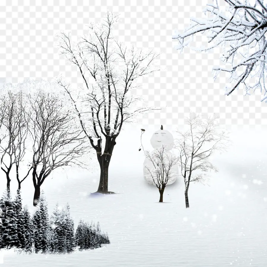 пейзаж，снег PNG