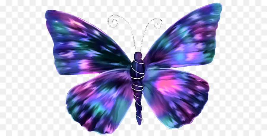бабочка，бабочки в цвет PNG