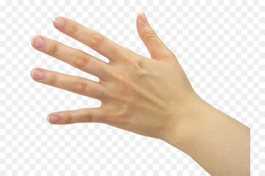 большой палец，лак для ногтей PNG