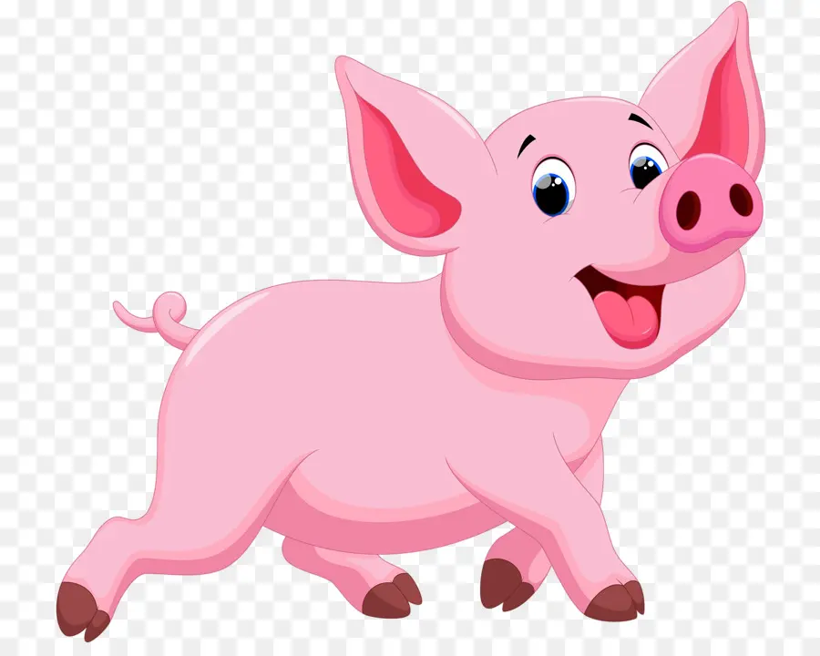 порки свинья，домашняя свинья PNG