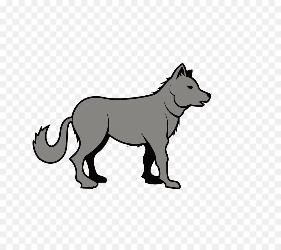 серый волк，волк гуляет PNG