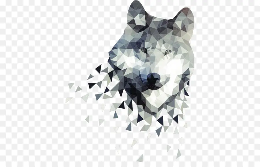 серый волк，африканская дикая собака PNG