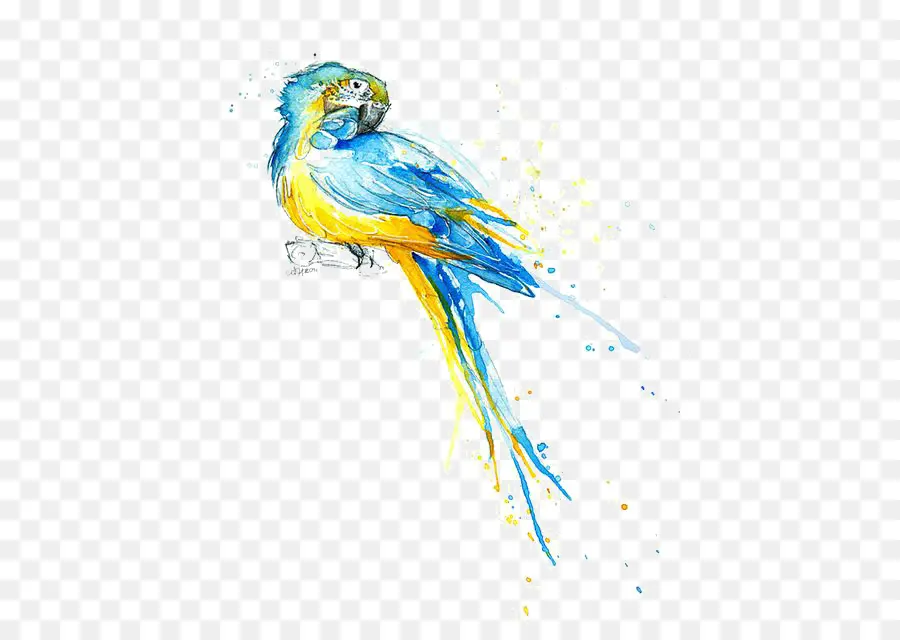 попугай，акварельная живопись PNG