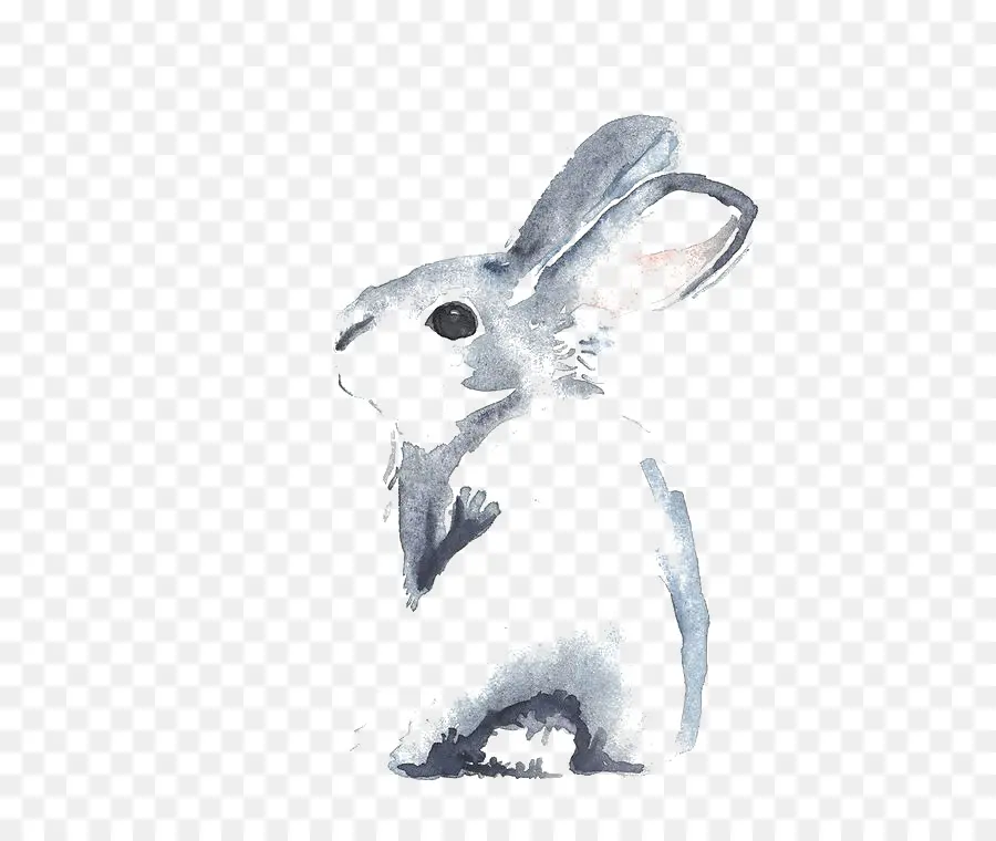 кролик корицы，кролик PNG