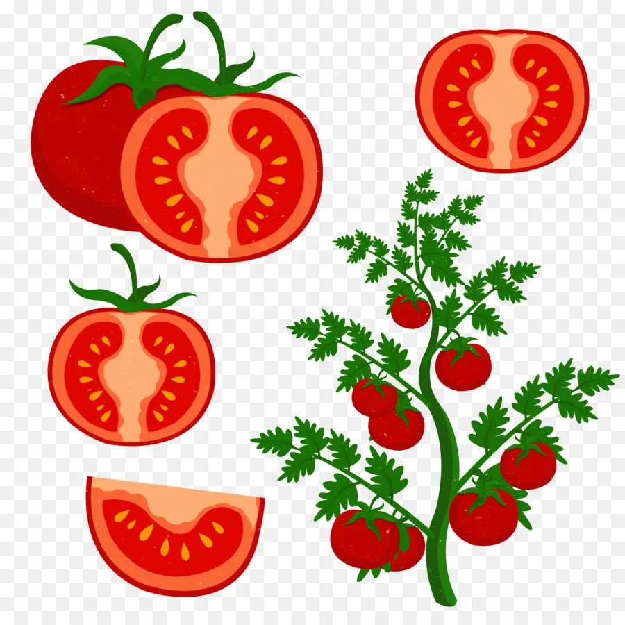 помидоры Черри，инкапсулированный Postscript PNG