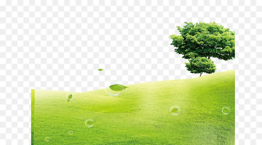 зеленый，газон PNG