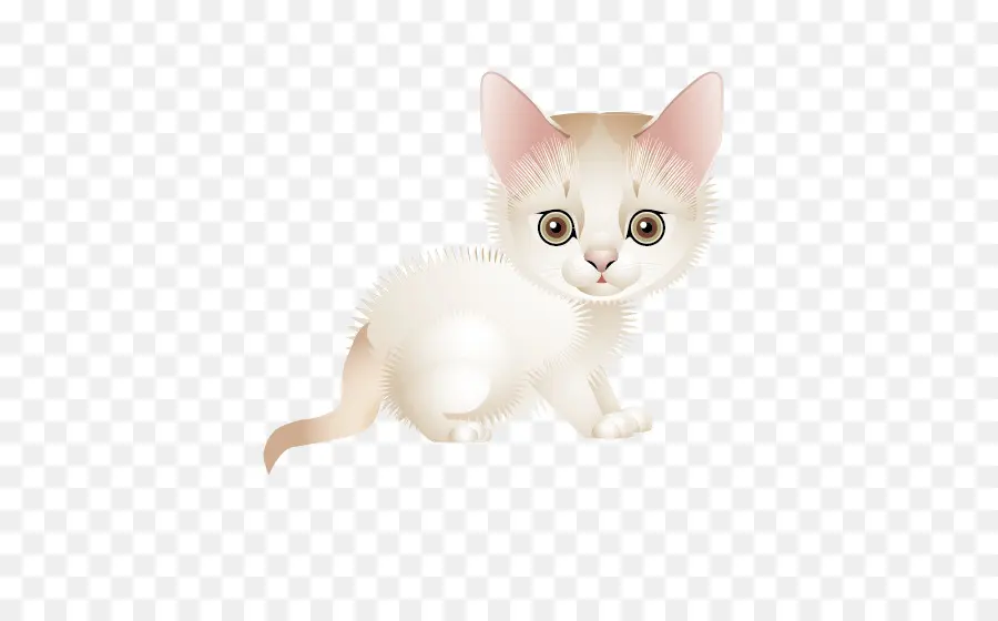 Милый котенок，Кот PNG