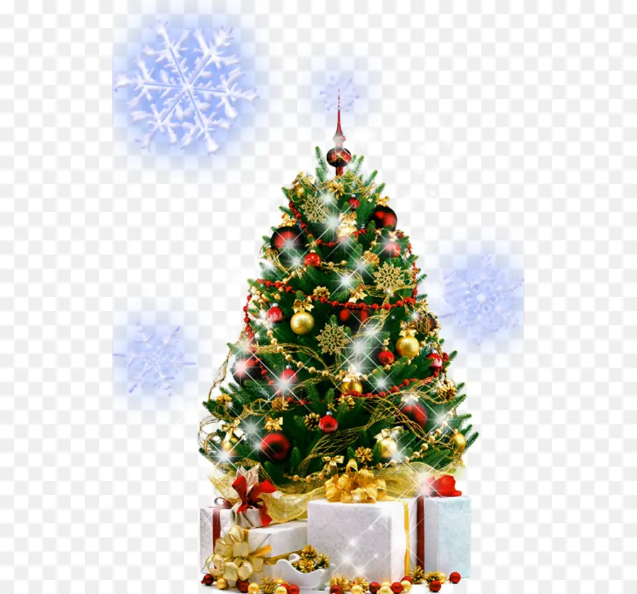 Рождественская елка，новогодняя елка PNG