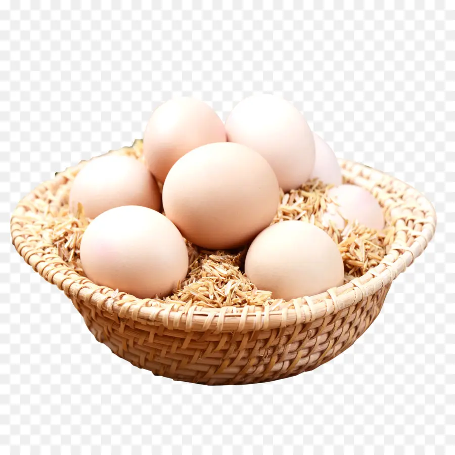 яйцо，куриное яйцо PNG