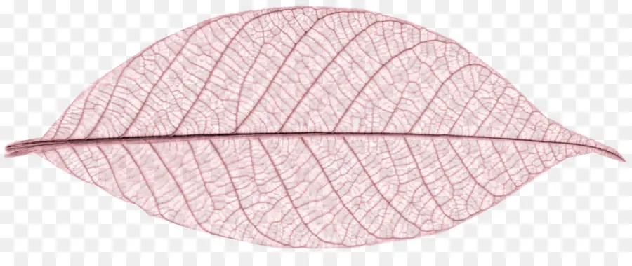лист，розовый PNG