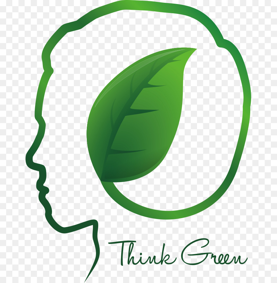 зеленый，человеческий мозг PNG