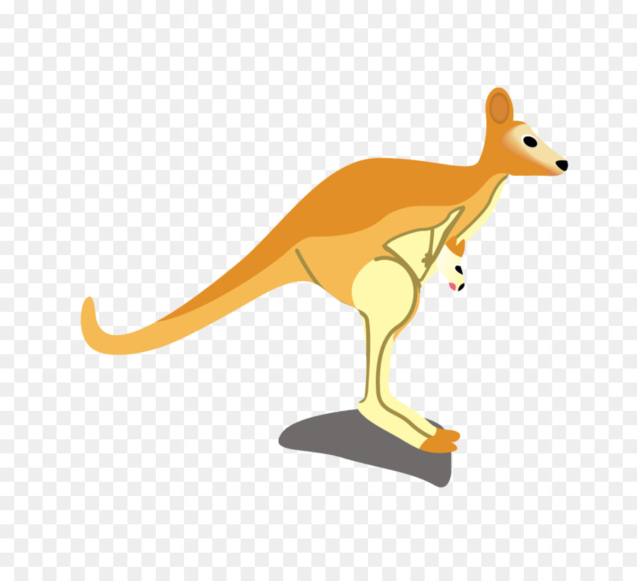 кенгуру，Macropodidae PNG