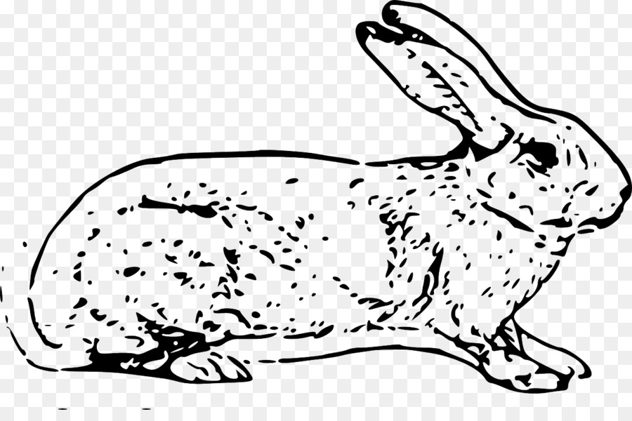 белый кролик，пасхальный кролик PNG