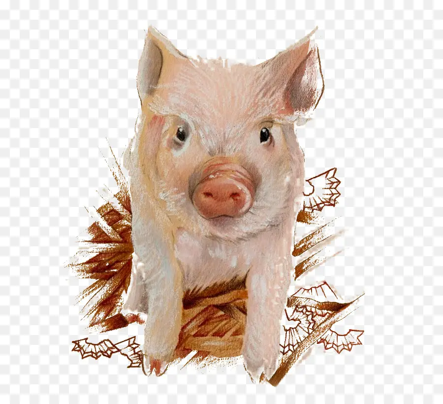 домашняя свинья，иллюстратор PNG