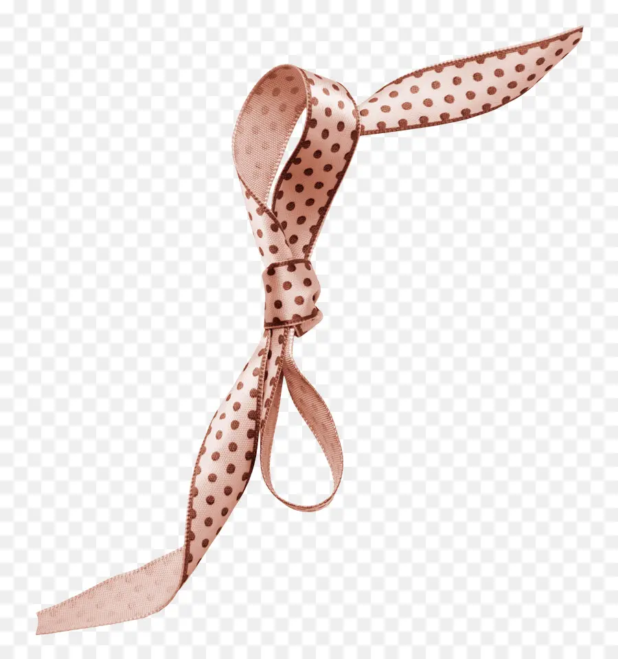 шнурки узелок，галстук бабочка PNG