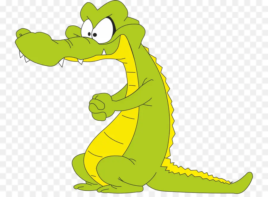 крокодил，животное PNG