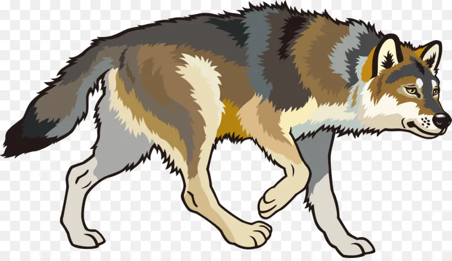 арктический волк，Восточный волк PNG