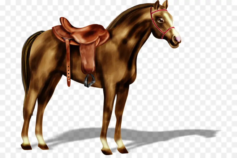 лошадь，стоя лошадь PNG