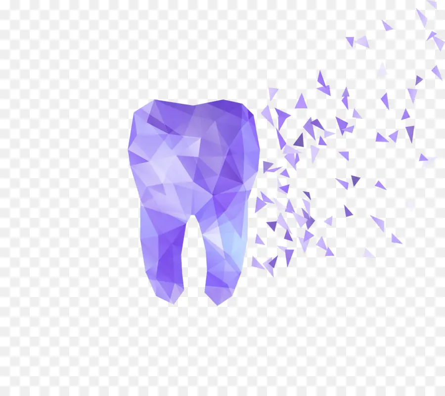 человеческий зуб，стоматология PNG