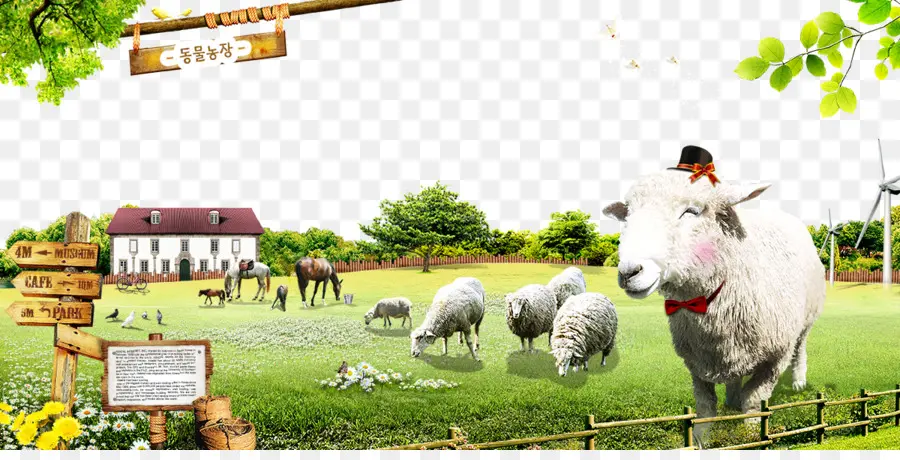 овцы，крупный рогатый скот PNG