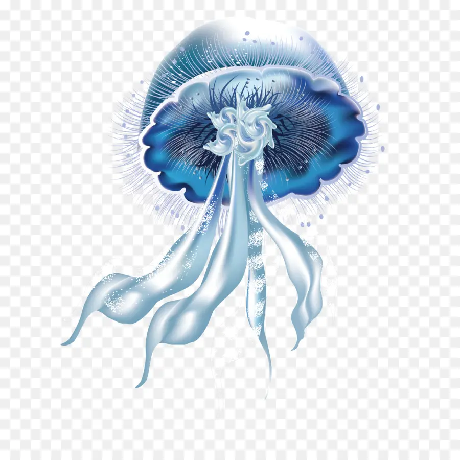 медузы，синий медузы PNG