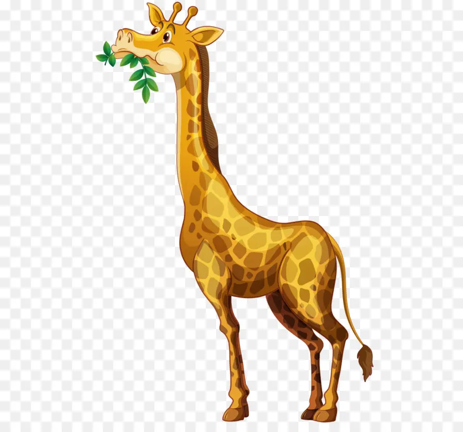 жираф，ест PNG