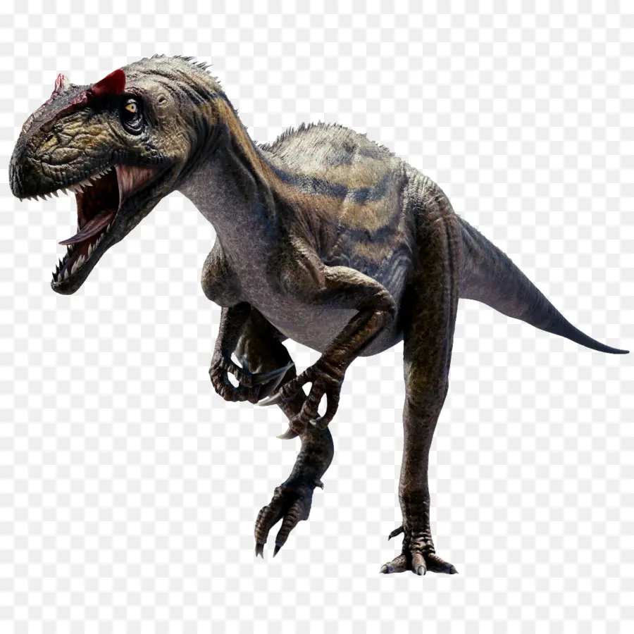 аллозавр，тираннозавр PNG