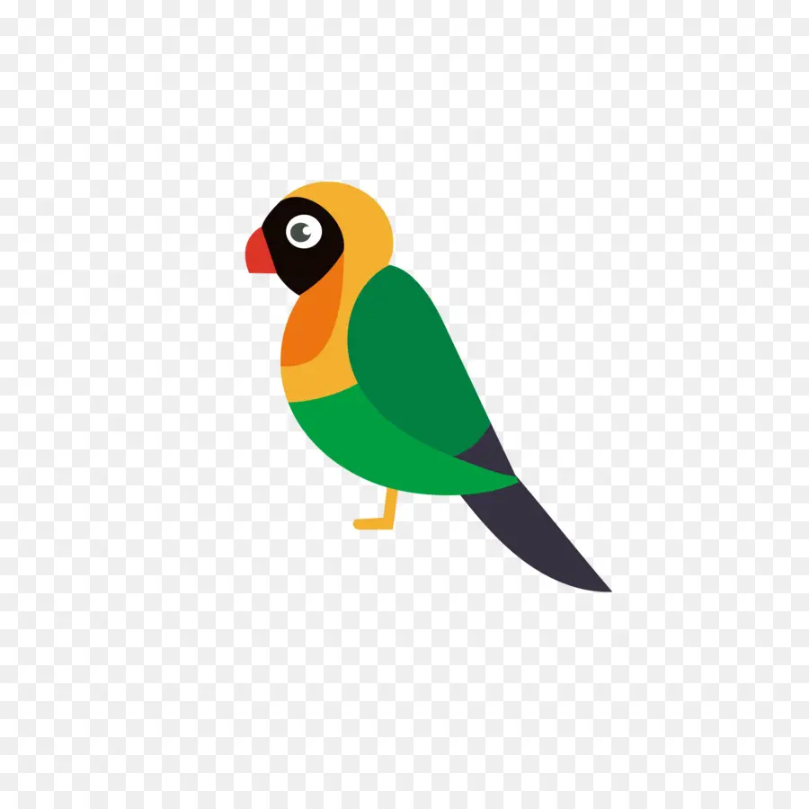 птица，попугай PNG